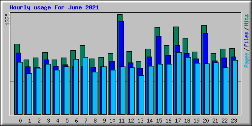 Hourly usage for June 2021