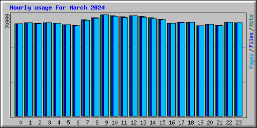 Hourly usage for March 2024