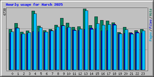 Hourly usage for March 2025