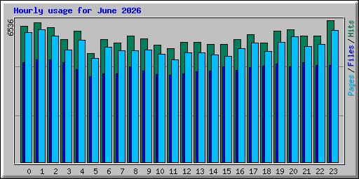 Hourly usage for June 2026