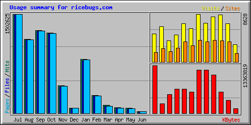 Usage summary for ricebugs.com
